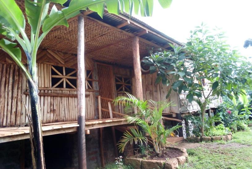 Rock Garden Sipi Hotell Kapchorwa Exteriör bild