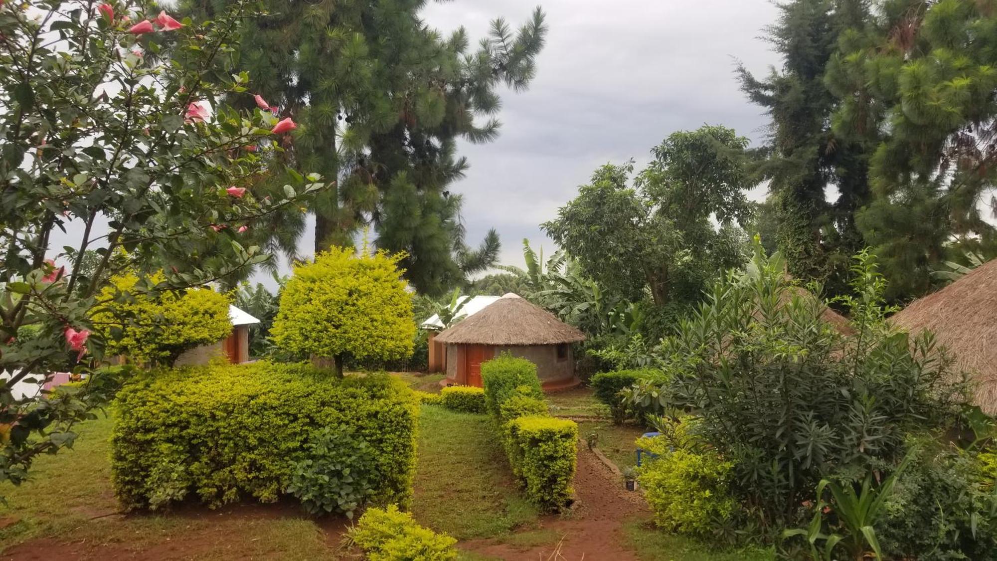Rock Garden Sipi Hotell Kapchorwa Exteriör bild