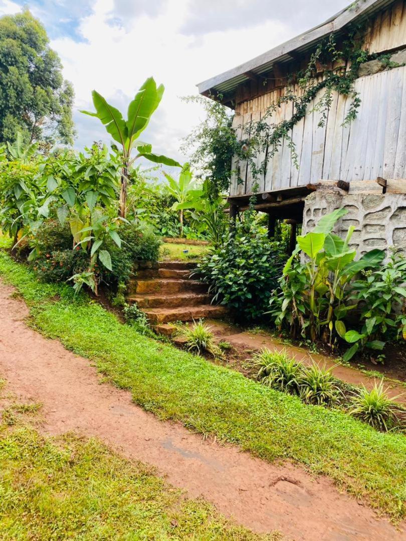 Rock Garden Sipi Hotell Kapchorwa Exteriör bild