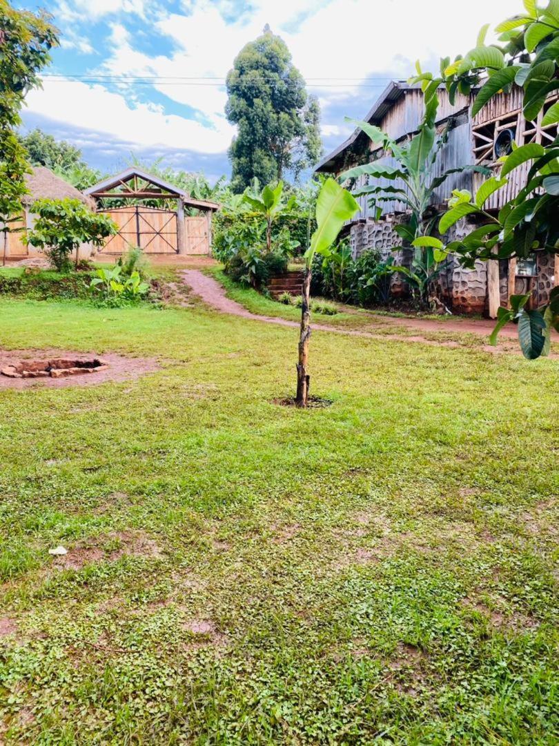 Rock Garden Sipi Hotell Kapchorwa Exteriör bild