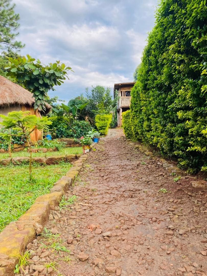 Rock Garden Sipi Hotell Kapchorwa Exteriör bild